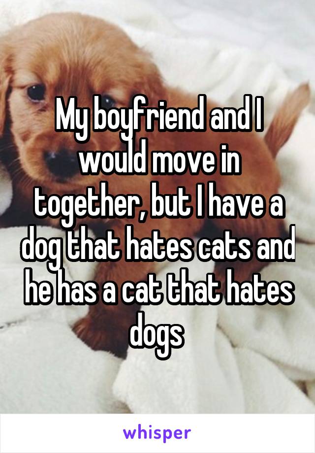 My boyfriend and I would move in together, but I have a dog that hates cats and he has a cat that hates dogs 