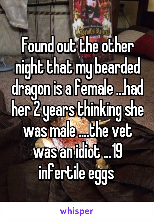 Found out the other night that my bearded dragon is a female ...had her 2 years thinking she was male ....the vet was an idiot ...19 infertile eggs 