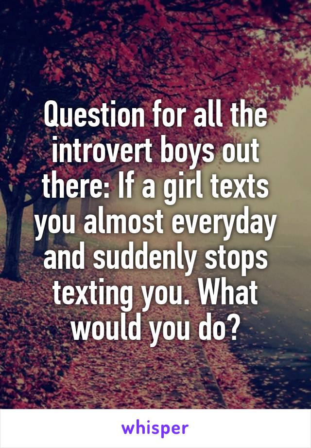 Question for all the introvert boys out there: If a girl texts you almost everyday and suddenly stops texting you. What would you do?