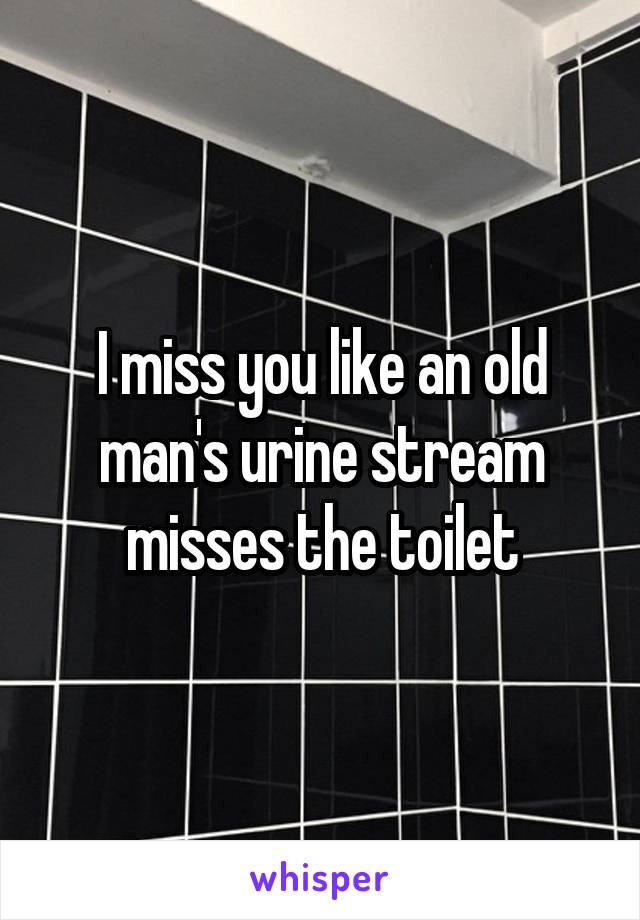 I miss you like an old man's urine stream misses the toilet
