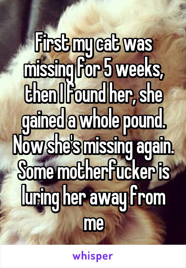 First my cat was missing for 5 weeks, then I found her, she gained a whole pound. Now she's missing again. Some motherfucker is luring her away from me
