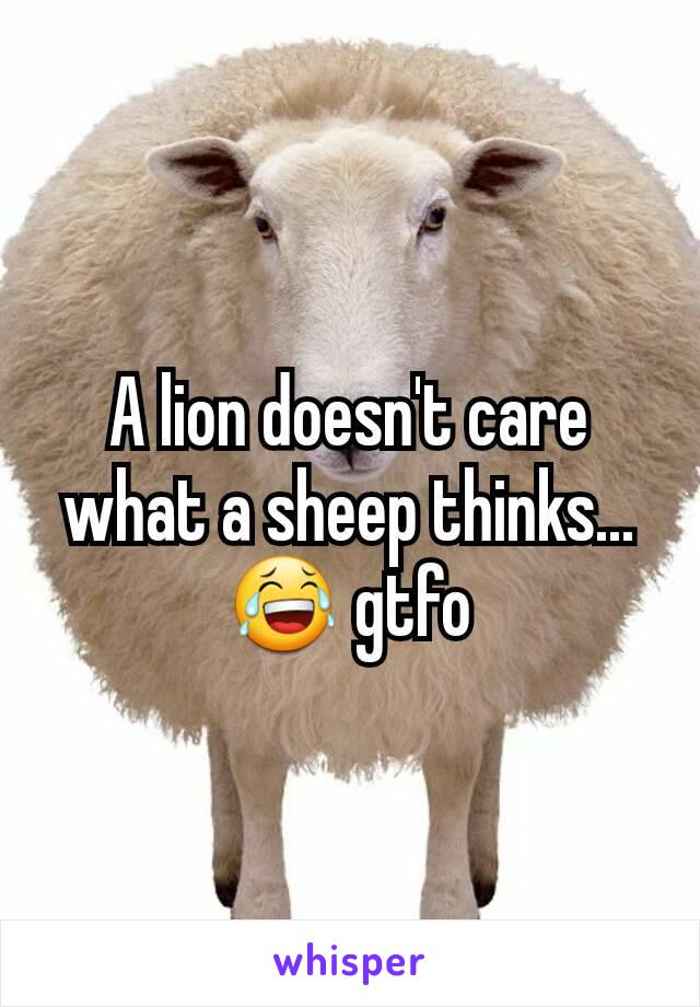 A lion doesn't care what a sheep thinks...😂 gtfo