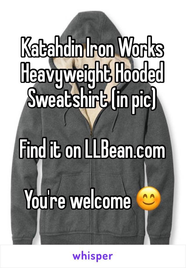 Katahdin Iron Works Heavyweight Hooded Sweatshirt (in pic)

Find it on LLBean.com

You're welcome 😊

