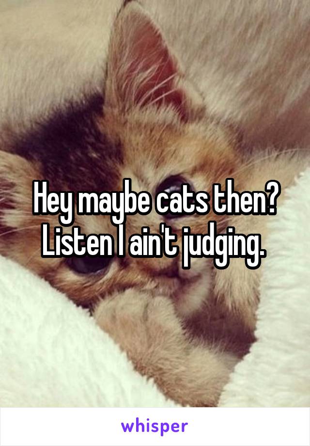 Hey maybe cats then? Listen I ain't judging. 