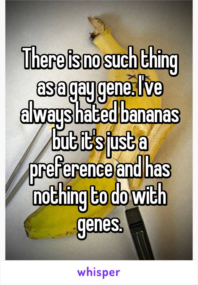 There is no such thing as a gay gene. I've always hated bananas but it's just a preference and has nothing to do with genes.