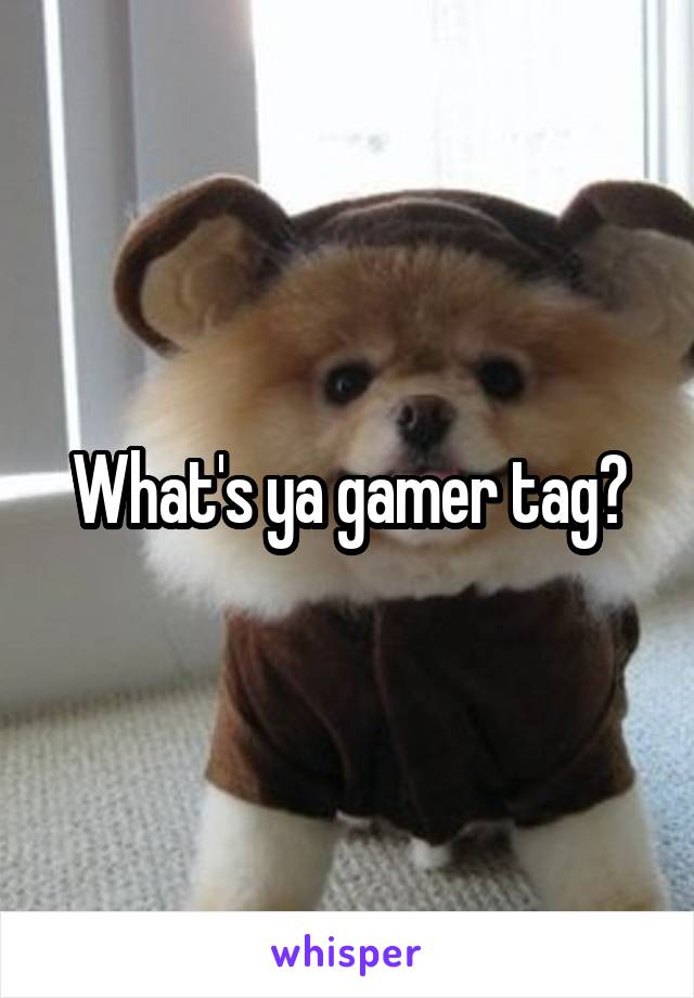 What's ya gamer tag?