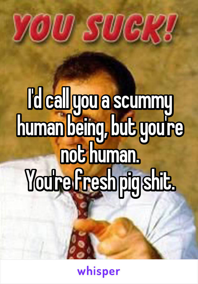 I'd call you a scummy human being, but you're not human.
You're fresh pig shit.