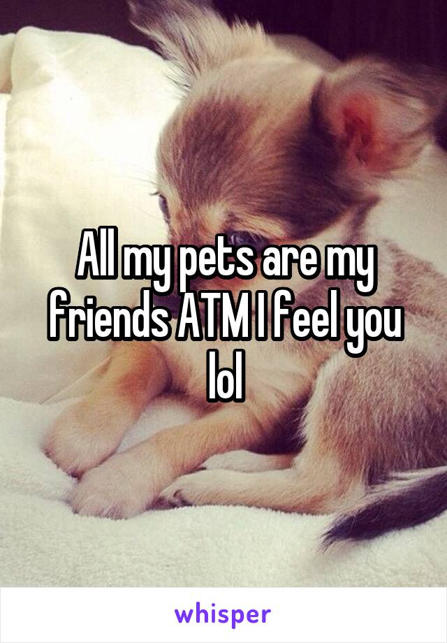 All my pets are my friends ATM I feel you lol
