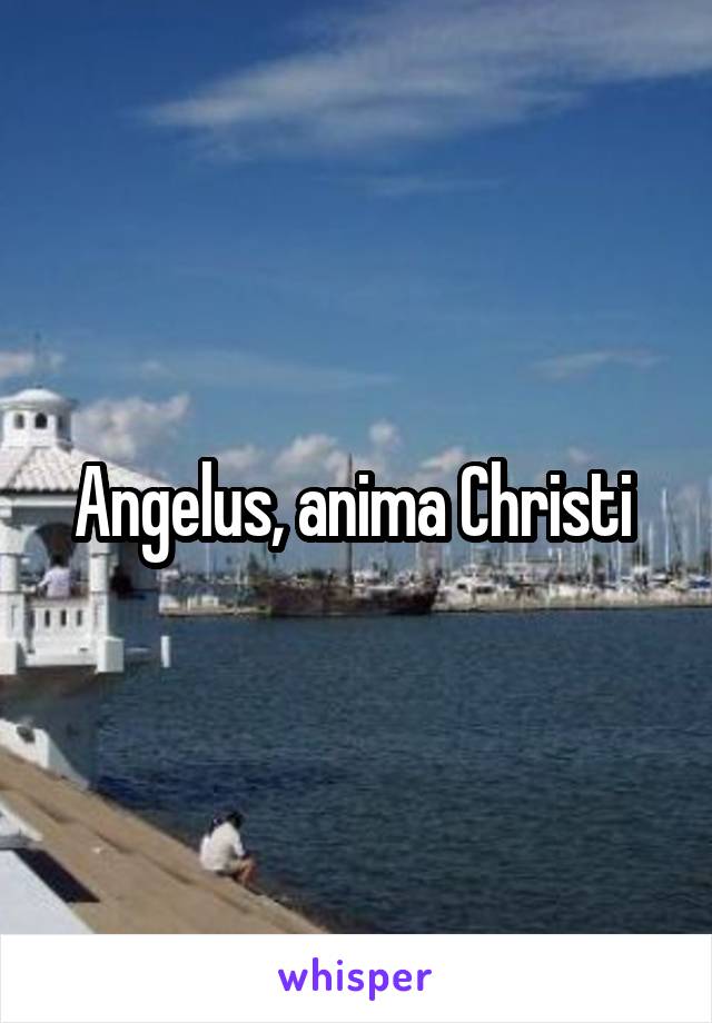 Angelus, anima Christi 