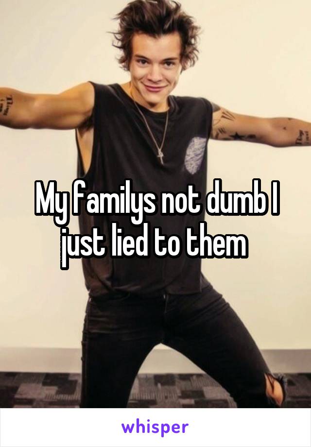 My familys not dumb I just lied to them 