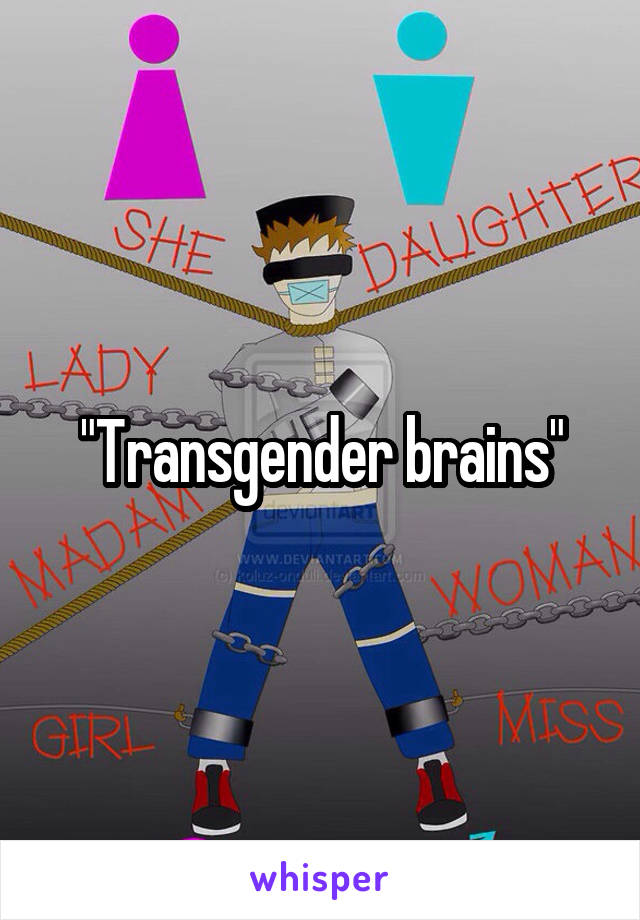 "Transgender brains"