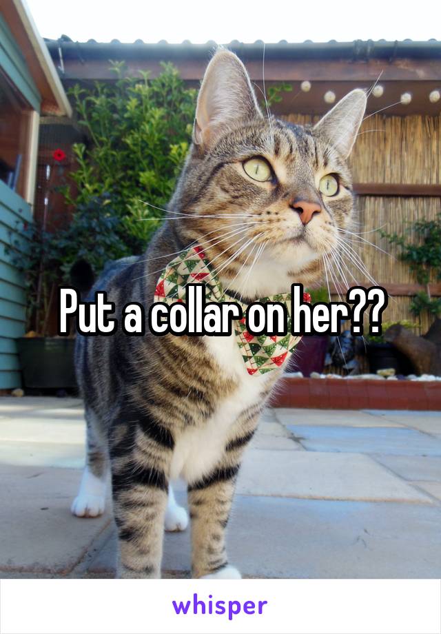 Put a collar on her??