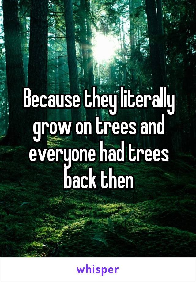 Because they literally grow on trees and everyone had trees back then