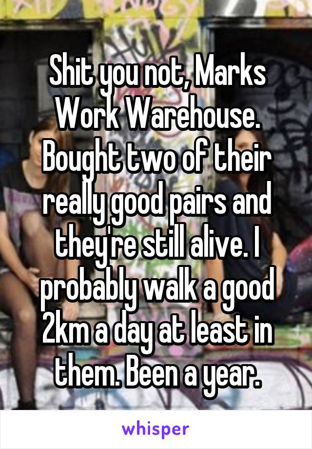 Shit you not, Marks Work Warehouse. Bought two of their really good pairs and they're still alive. I probably walk a good 2km a day at least in them. Been a year.