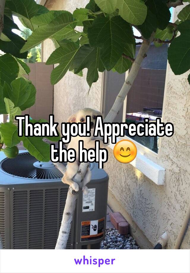 Thank you! Appreciate the help 😊