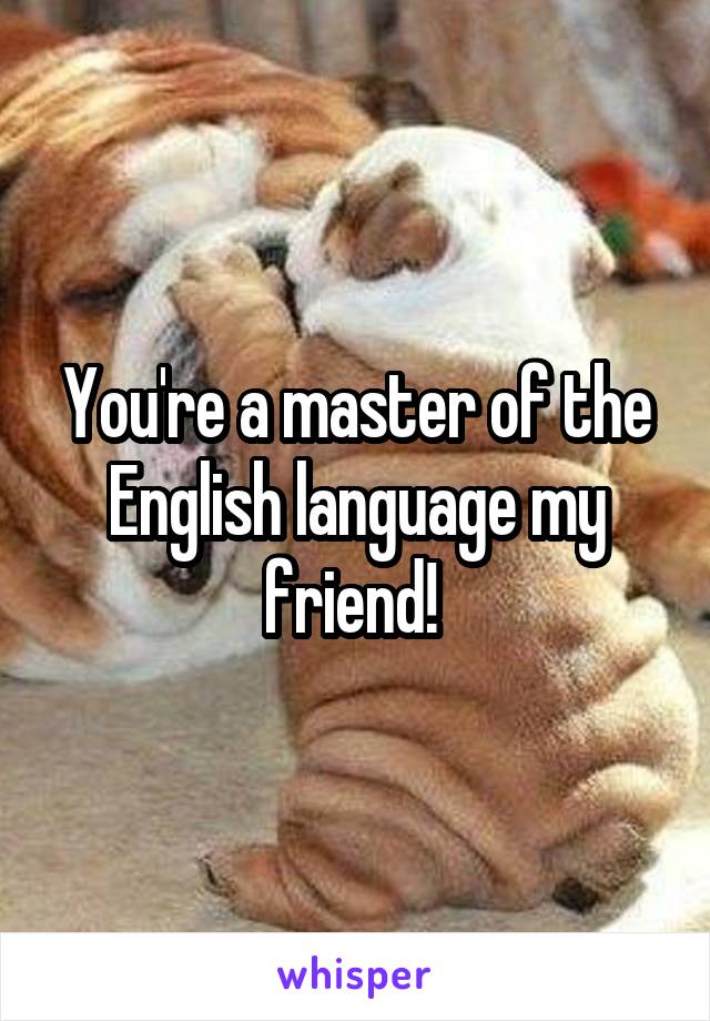 You're a master of the English language my friend! 