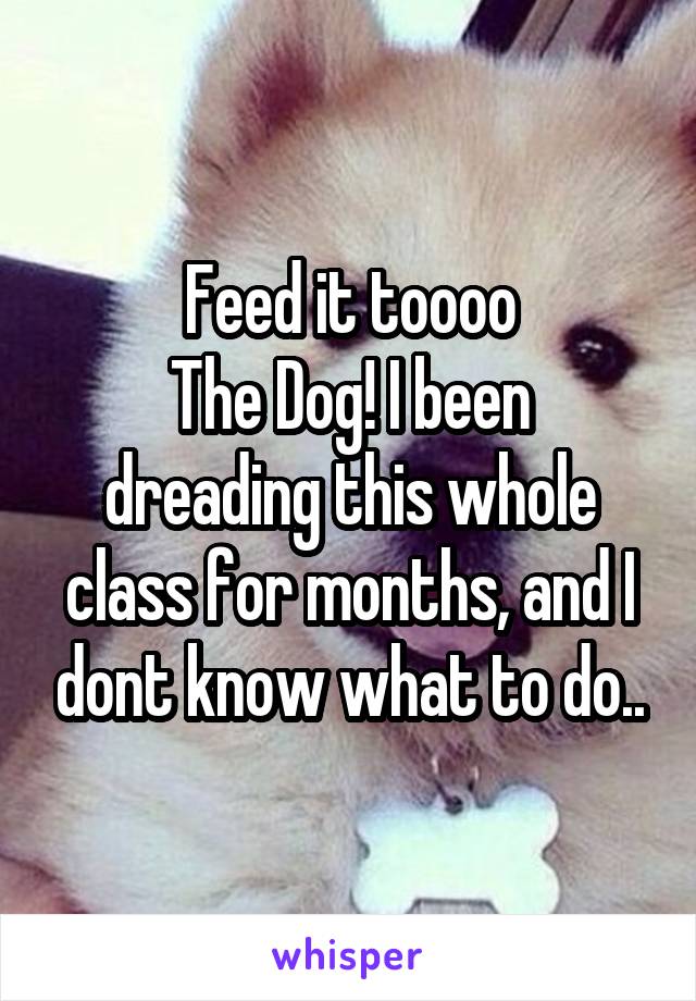 Feed it toooo
The Dog! I been dreading this whole class for months, and I dont know what to do..