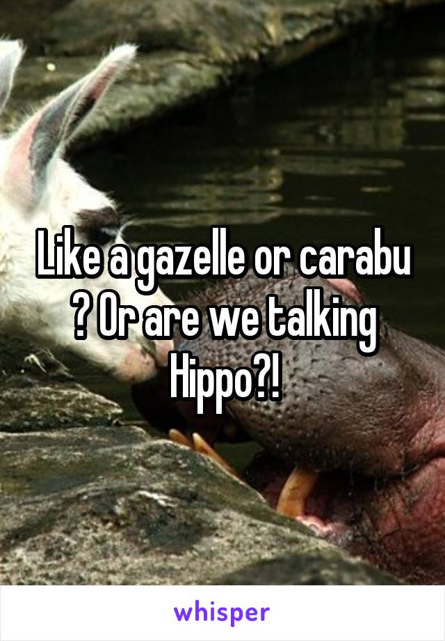 Like a gazelle or carabu ? Or are we talking Hippo?!