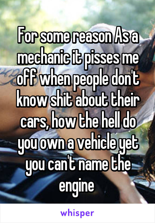 For some reason As a mechanic it pisses me off when people don't know shit about their cars, how the hell do you own a vehicle yet you can't name the engine 