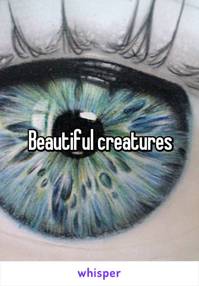 Beautiful creatures