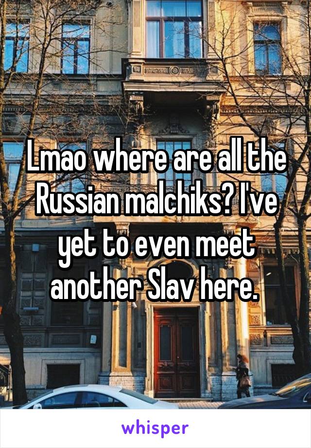 Lmao where are all the Russian malchiks? I've yet to even meet another Slav here. 