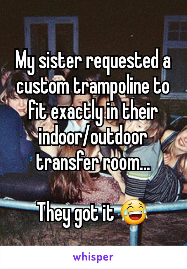My sister requested a custom trampoline to fit exactly in their indoor/outdoor transfer room...

They got it 😂