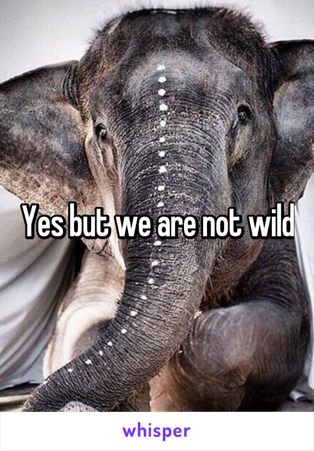 Yes but we are not wild