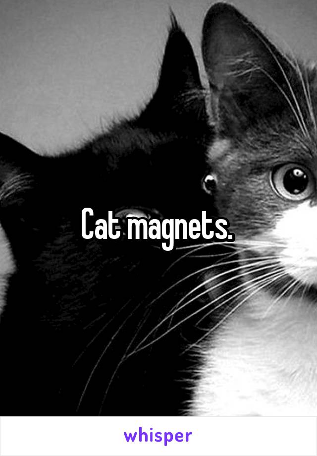 Cat magnets. 