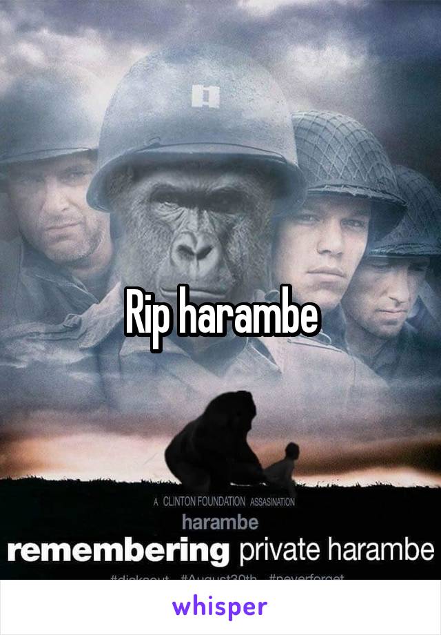 Rip harambe