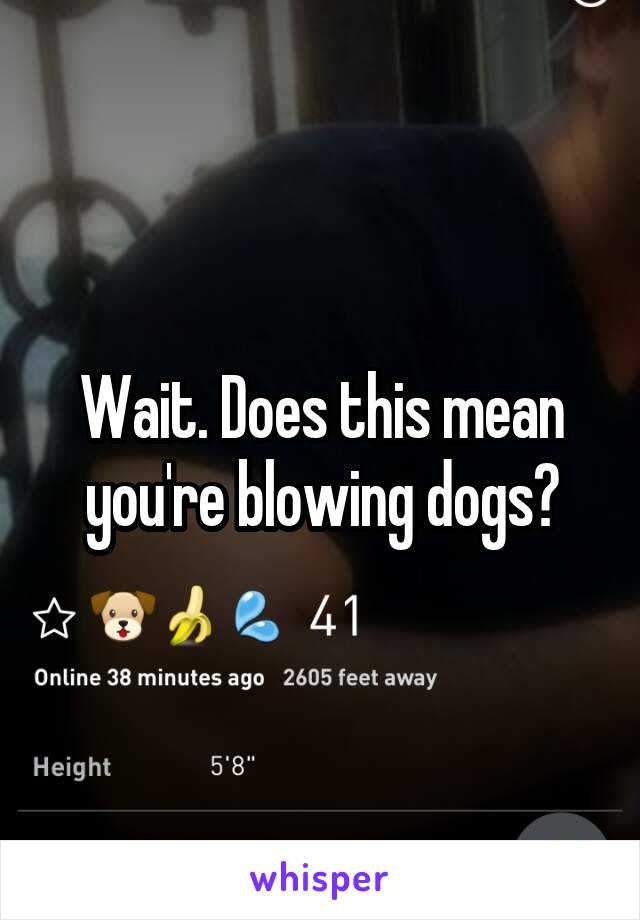 Wait. Does this mean you're blowing dogs?