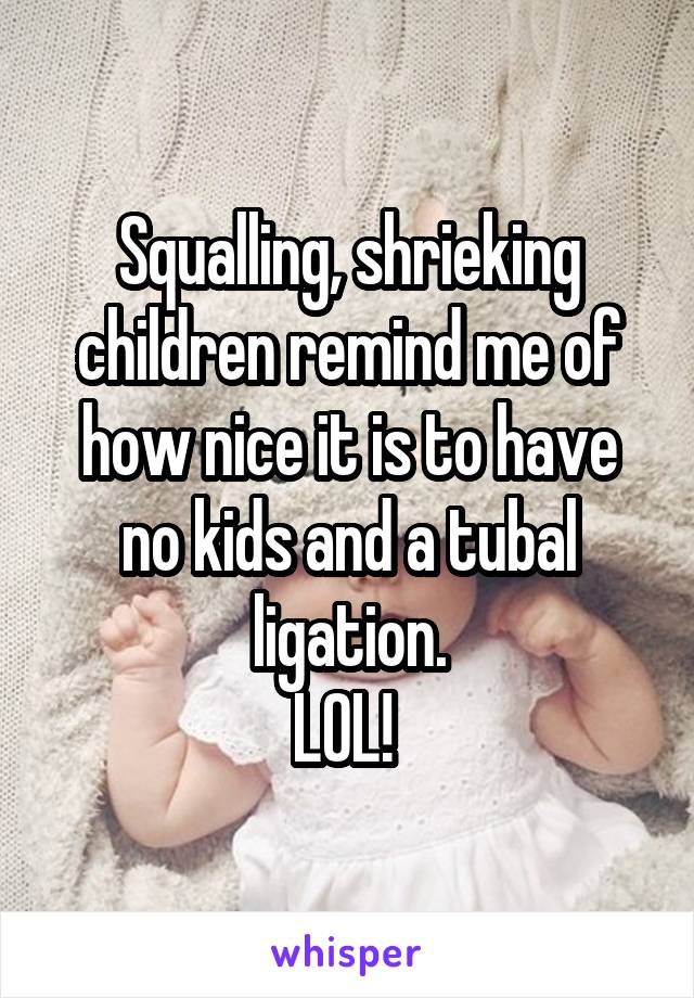 Squalling, shrieking children remind me of how nice it is to have no kids and a tubal ligation.
LOL! 