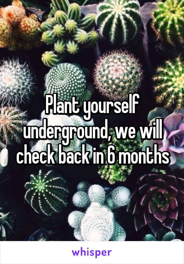 Plant yourself underground, we will check back in 6 months