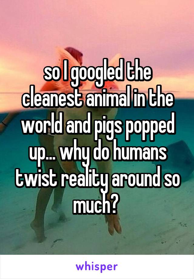 so I googled the cleanest animal in the world and pigs popped up... why do  humans