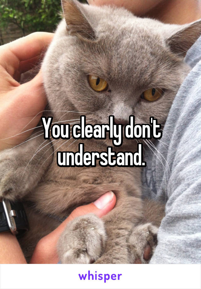 You clearly don't understand.