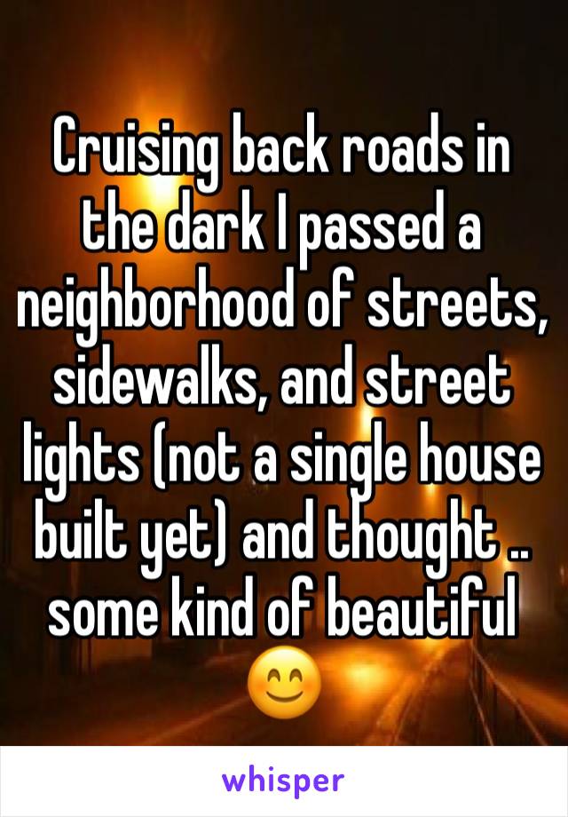 Cruising back roads in the dark I passed a neighborhood of streets, sidewalks, and street lights (not a single house built yet) and thought .. some kind of beautiful 😊