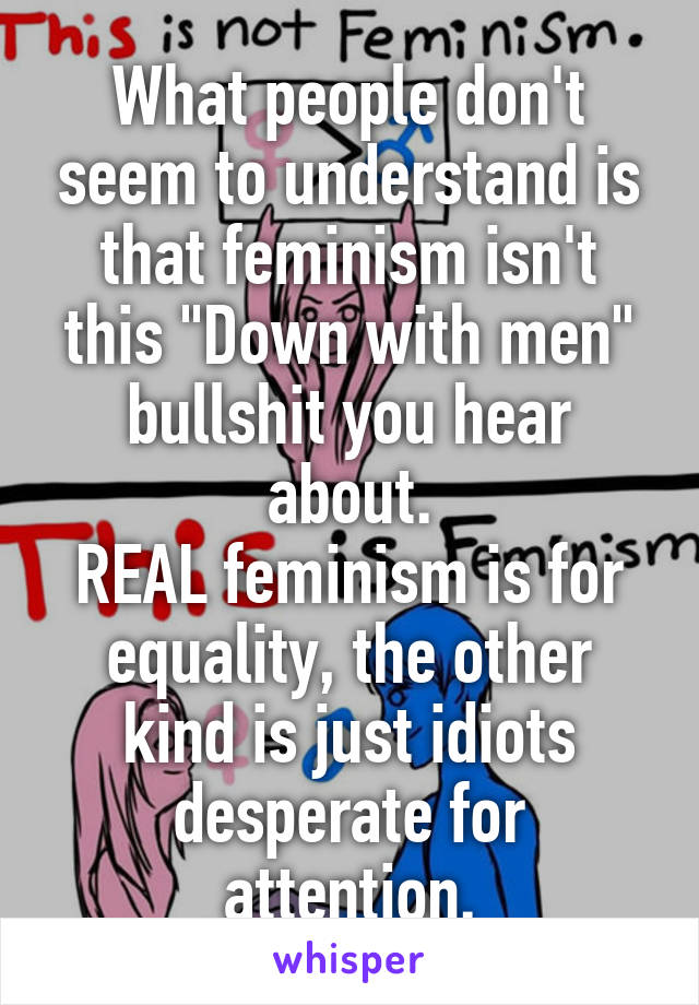 What people don't seem to understand is that feminism isn't this "Down with men" bullshit you hear about.
REAL feminism is for equality, the other kind is just idiots desperate for attention.