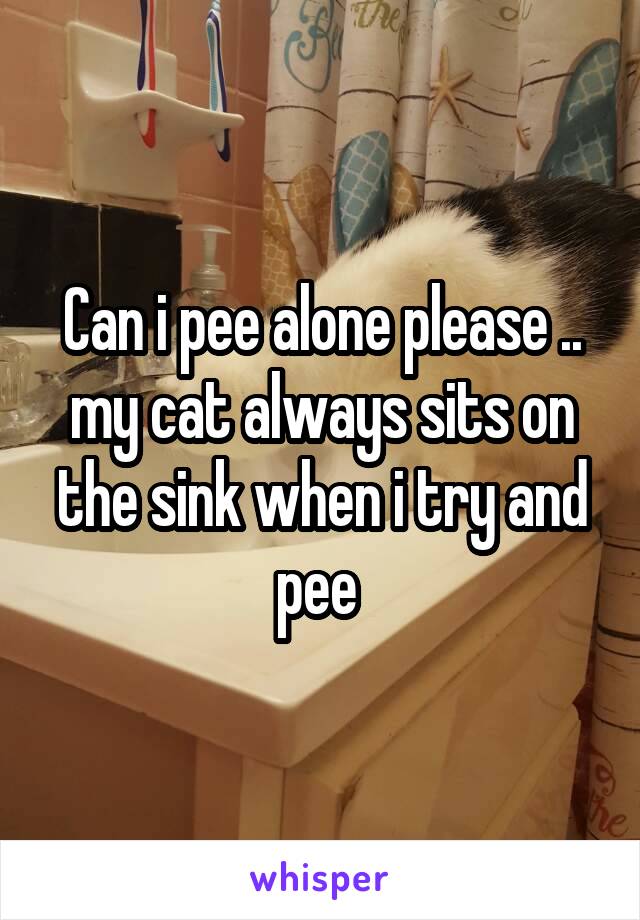 Can i pee alone please .. my cat always sits on the sink when i try and pee 