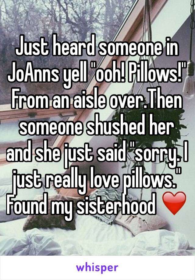 Just heard someone in JoAnns yell "ooh! Pillows!" From an aisle over.Then someone shushed her and she just said "sorry. I just really love pillows." Found my sisterhood ❤️