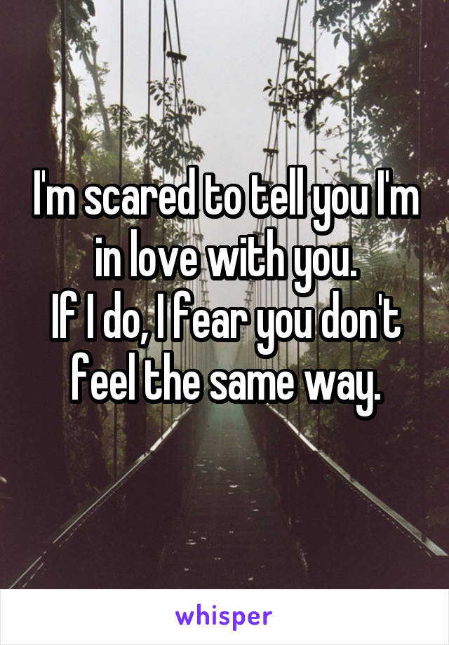 I'm scared to tell you I'm in love with you.
If I do, I fear you don't feel the same way.
