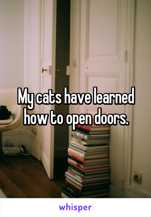 My cats have learned how to open doors.