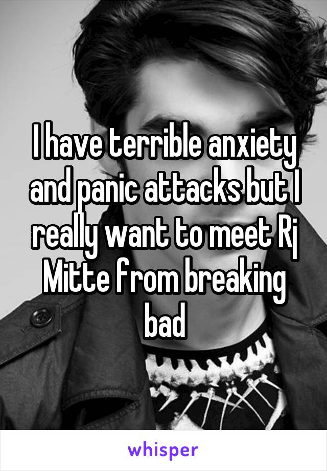 I have terrible anxiety and panic attacks but I really want to meet Rj Mitte from breaking bad