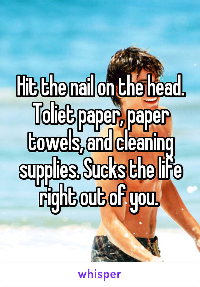 Hit the nail on the head. Toliet paper, paper towels, and cleaning supplies. Sucks the life right out of you. 