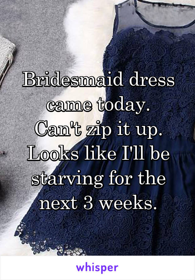 Bridesmaid dress
came today.
Can't zip it up. Looks like I'll be starving for the next 3 weeks.