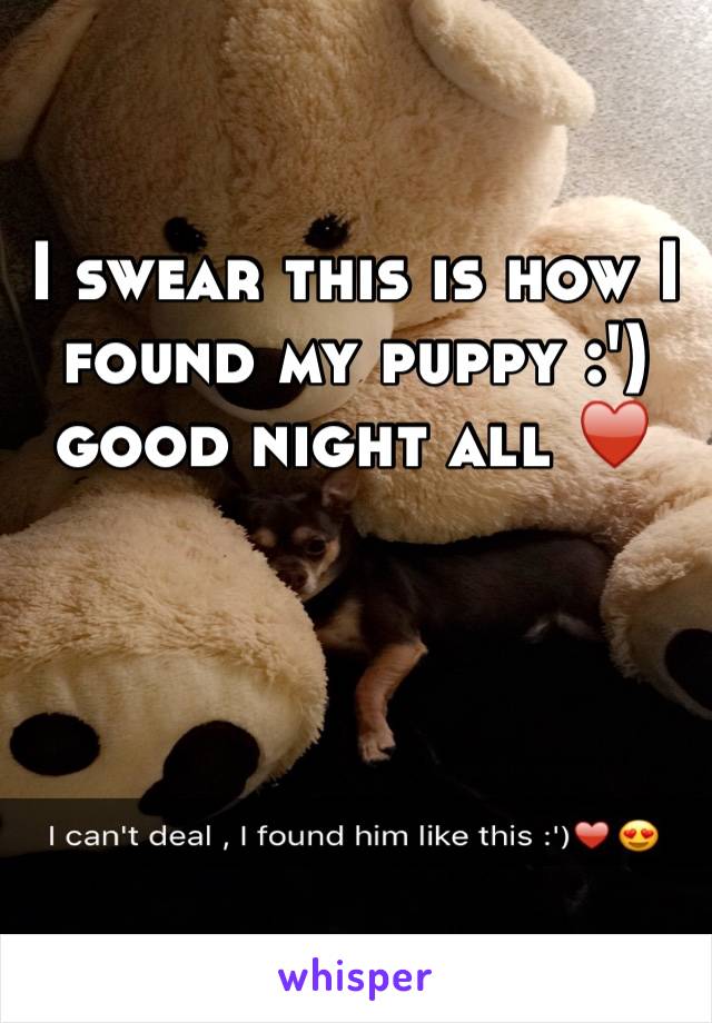 I swear this is how I found my puppy :') good night all ♥️