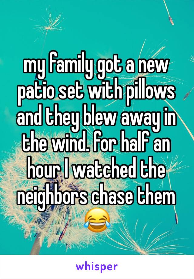 my family got a new patio set with pillows and they blew away in the wind. for half an hour I watched the neighbors chase them 😂