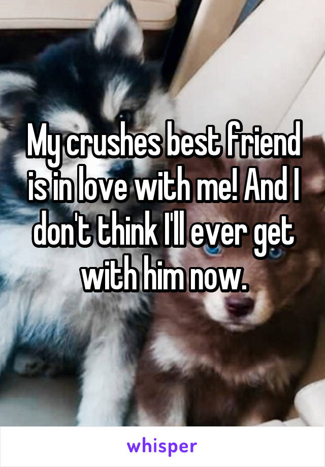 My crushes best friend is in love with me! And I don't think I'll ever get with him now.
