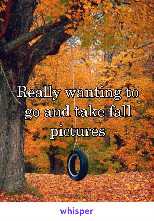 Really wanting to go and take fall pictures