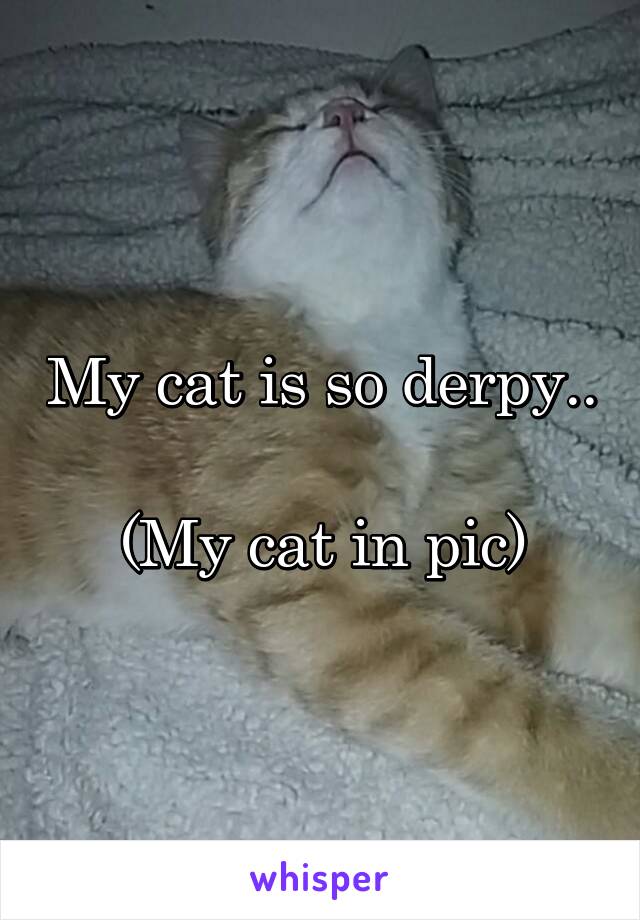 My cat is so derpy.. 
(My cat in pic)