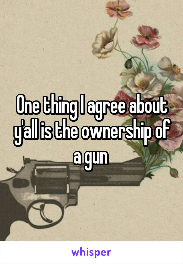 One thing I agree about y'all is the ownership of a gun 