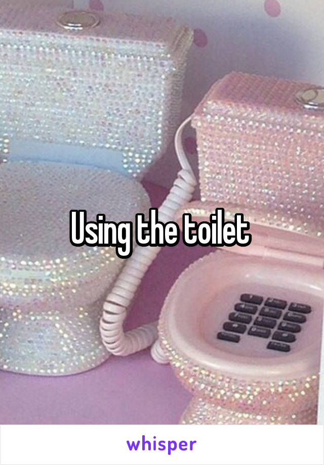 Using the toilet 